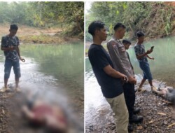 Pria Ditemukan Tewas Mengapung di Sungai Buluan Rejang Lebong, Polisi Pastikan Murni Kecelakaan