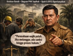 Disnakertrans Bengkulu Perketat Pengawasan, Dugaan Pelanggaran Hak Karyawan PT RAA Jadi Sorotan