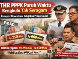 THR PPPK Paruh Waktu Bengkulu Tak Seragam, Pemprov Disorot soal Kebijakan Proporsional