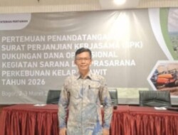 Kabupaten Kaur Perkuat Program Peremajaan Sawit